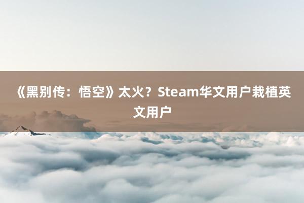 《黑别传：悟空》太火？Steam华文用户栽植英文用户