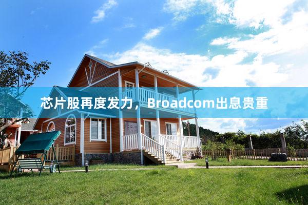 芯片股再度发力，Broadcom出息贵重