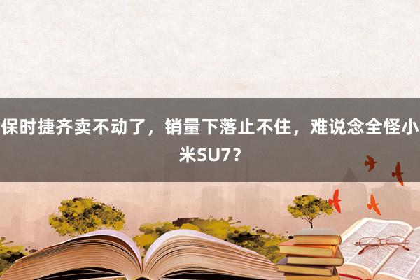 保时捷齐卖不动了，销量下落止不住，难说念全怪小米SU7？