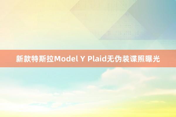 新款特斯拉Model Y Plaid无伪装谍照曝光